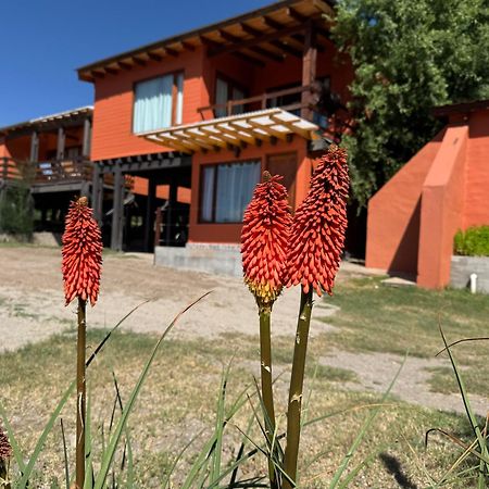 Cabana El Churqui Тафі-дель-Вальє Екстер'єр фото